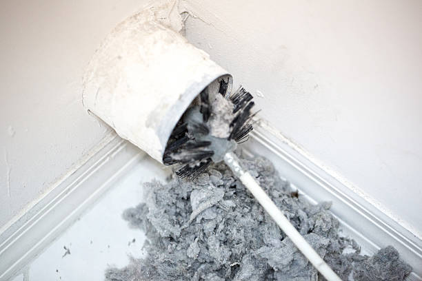 Best Dryer Vent Cleaning Services  in Randallstown, MD